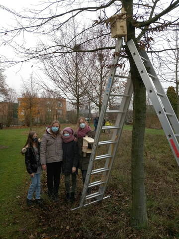 Meisennistkästen Schulgarten