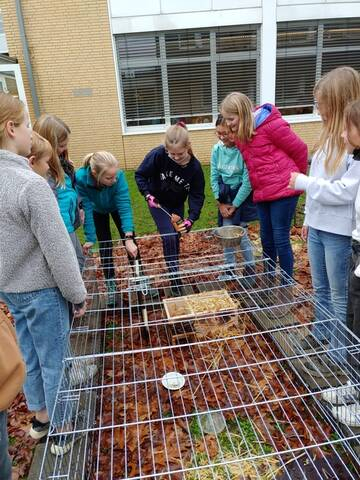 Überwinterung Cornelia u Heinrich aus dem TierschutzI